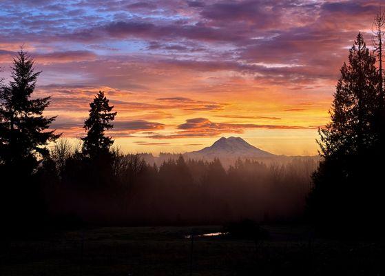 Mt. Rainier from Olympia