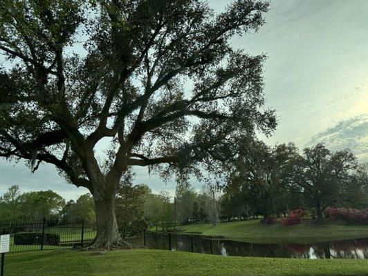 Country Club of Louisiana