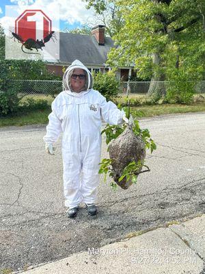 Angie with a bald face hornet nest