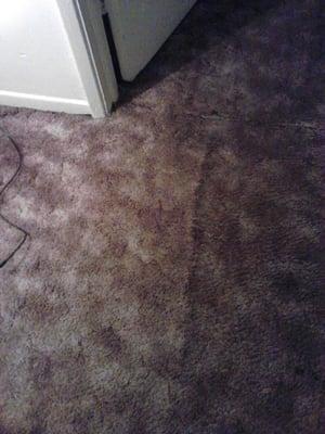 Dirty carpet.