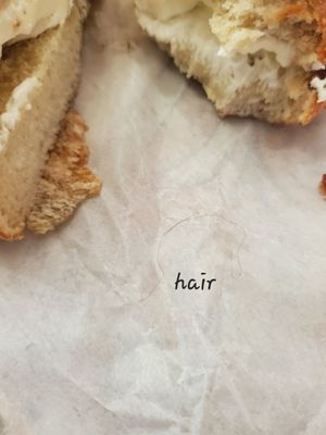 Hair that came from the bagel. Nasty