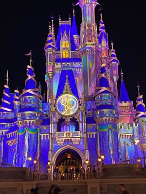 Magic Kingdom at night