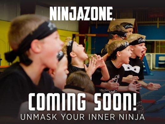 Ninjaville