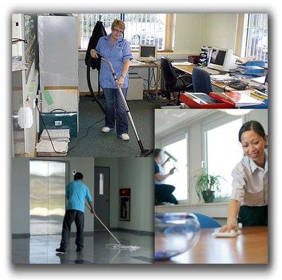 Alert Carpet Cleaning And Services