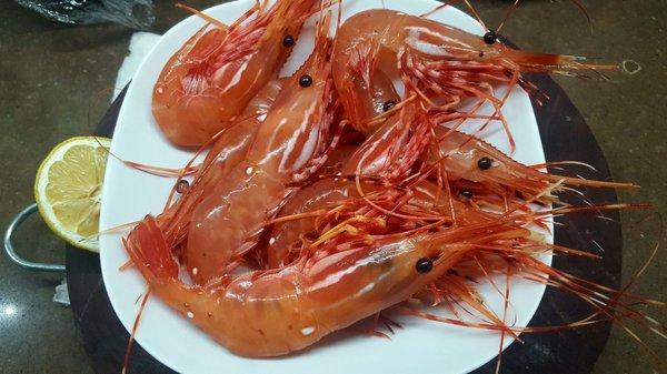 Spot prawns