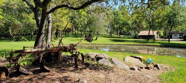 Horton Iris Garden