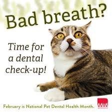 February is Dental Health month!