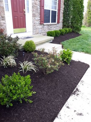 Mulch and some new plants.