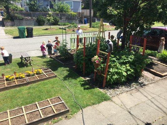 Gardening as an educational and tasty pass time