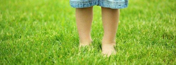 Want a heathy yard for your kids? Call today