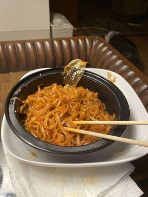 This picture of my dinner showing the piece of plastic within it.