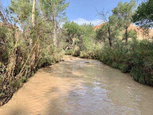 Standing in the middle of Escalante River hiking towards the bridge.