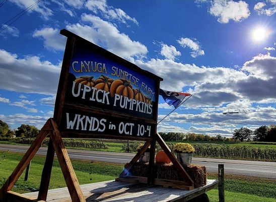 Cayuga Sunrise Farm