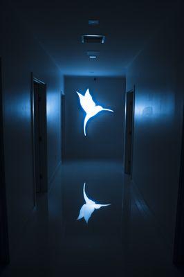 Cosmetica Med Spa - Hallway - Night