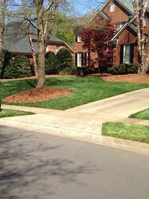 Turf 1 Landscaping & Lawn Care