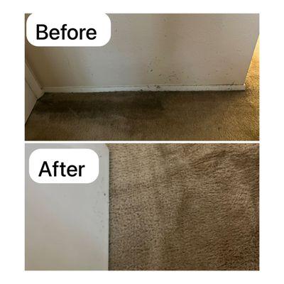 Carpet cleaning