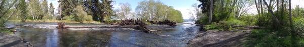 Engineered Log jam @ Dosewallips State Park