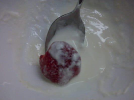 Plain Yogurt w/ Lucero Farms Strawberries