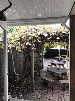 The patio entrance - with a trellis growing grapes!