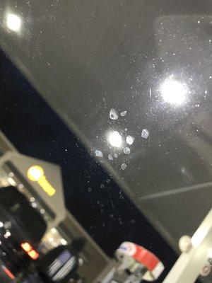 Water spots on various sections of my car.