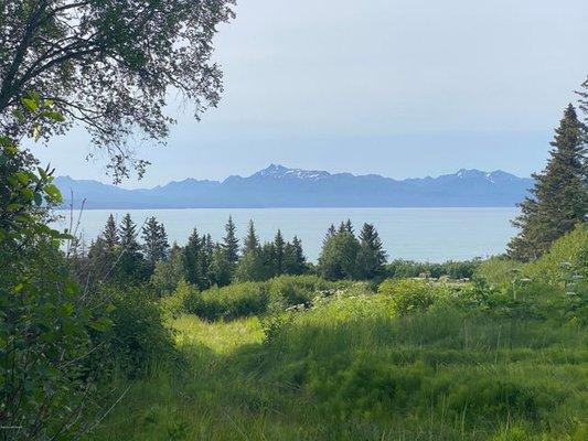 West Hill Road, Homer, Alaska