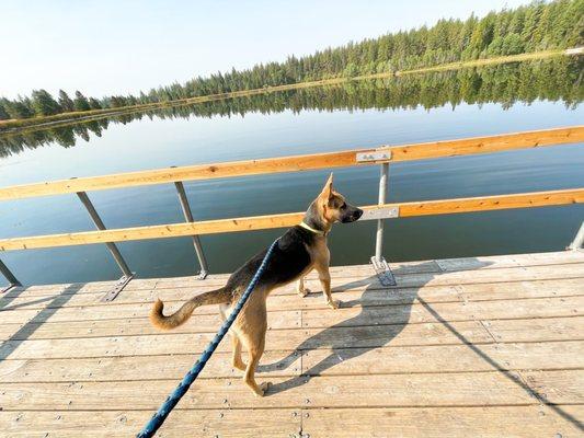 Little fishing deck that overlooks the lake