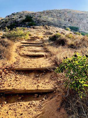 Stair master from hell