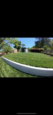 Sod and landscaping