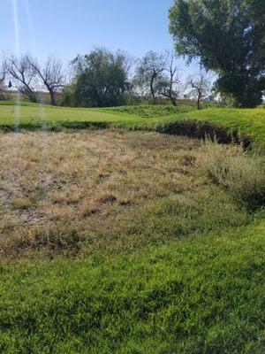 Sand trap look like weed traps