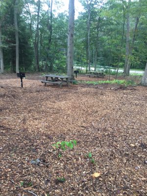 Picnic area with grills.