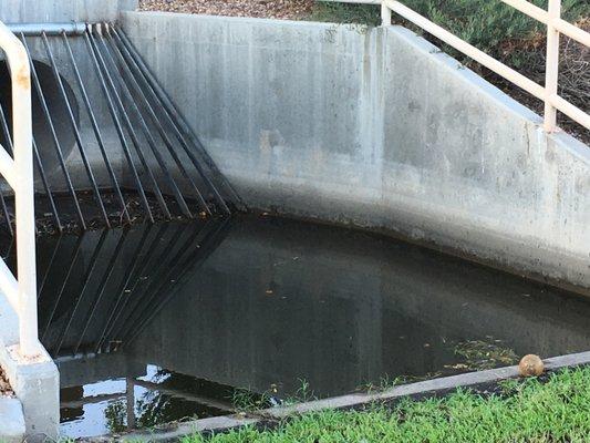 Parks/ponding basins don't drain making a breeding ground for mosquitoes... which is a health risk!