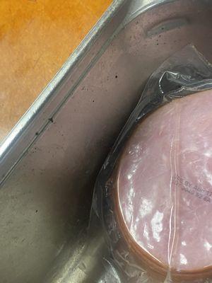 Mold In the pan of ham and in the cooler , just watch !!!!