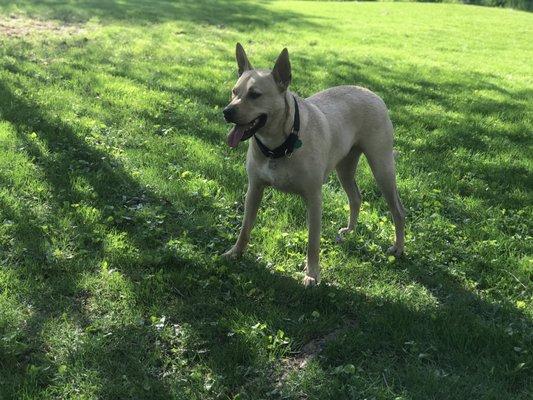 Ronin Joyner, his home is urban...but he luvs the countryside!!