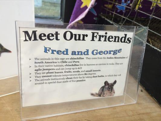 Pets at the library!