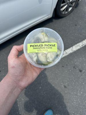 Pickled Pickle Garlic Dill Pickles