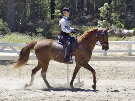 MHA Horse Show at Sequoia Arena (Photo NelsonPics.com)