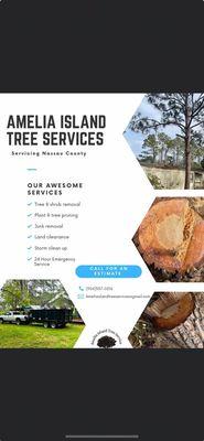 Amelia Island Tree Service