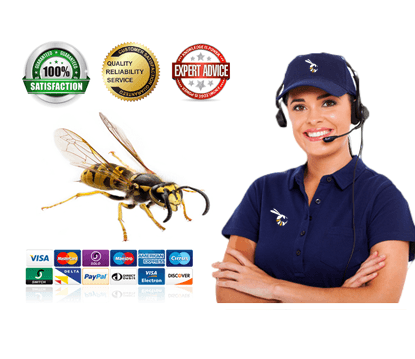 Tidy Pest Control Services