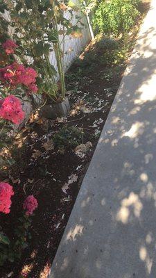 My client needed some flower bed maintenance done.