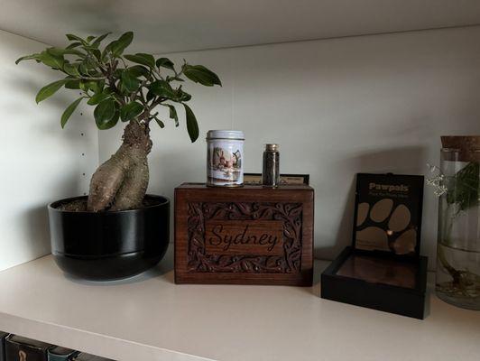 Sydney's urn, paw print, and vial of hair.