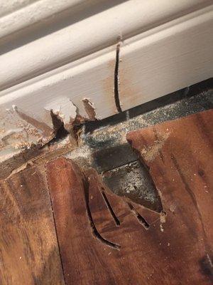 close up view of living room floor and baseboard.  You can see the ductwork there.