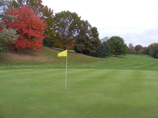 5th hole, greens in great shape