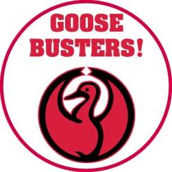 Goose Busters of Michigan LLC