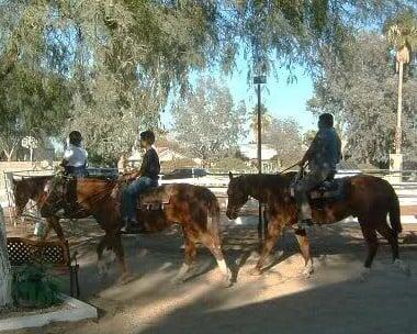 Kings Victory Farms offers Sunset Trail Rides. Come ride with us.