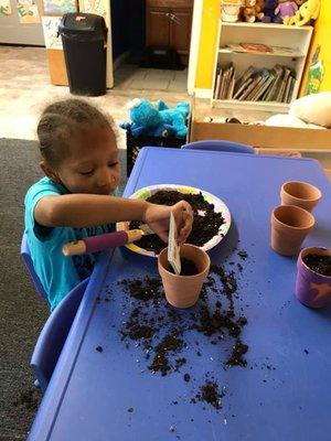 Planting flowers