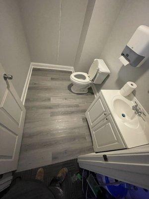 Bathroom remodel, install vanity, toilet, and LVP