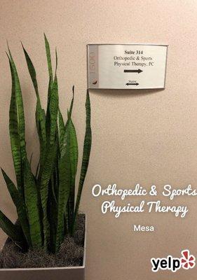 Orthopedic & Sports Physical Therapy