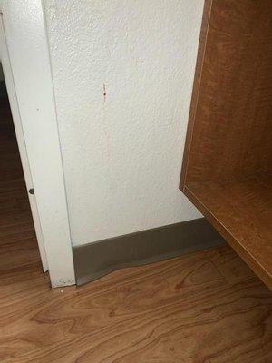 Blood Spatter on wall