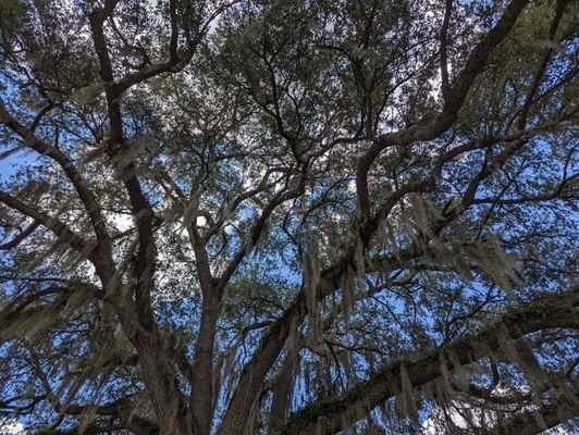 Zephyrhills Depot Park