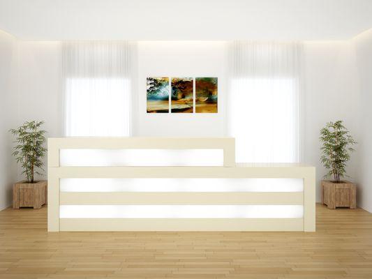 Tucson Modern Reception Desk